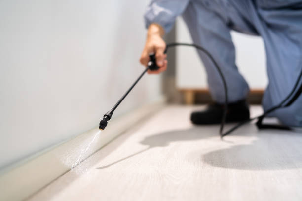 Licensed Fumigation Services service in Grasonville, MD - Nex Pest Control
